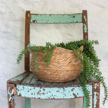 Seagrass Basket Planter