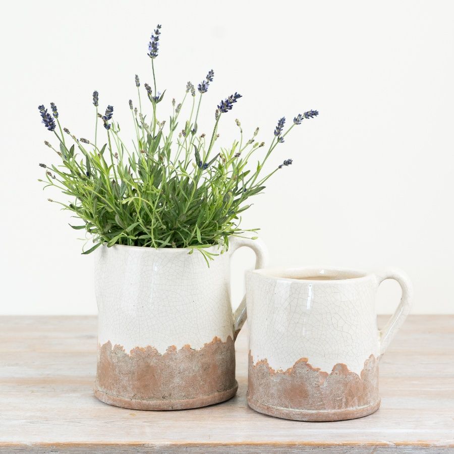 Ido Cream Jug