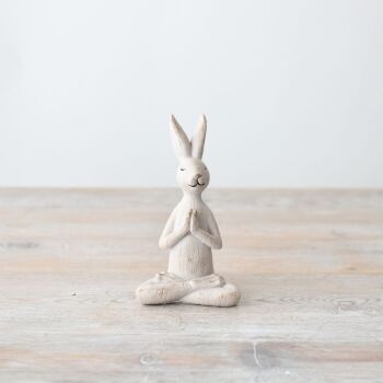 Yoga Rabbit
