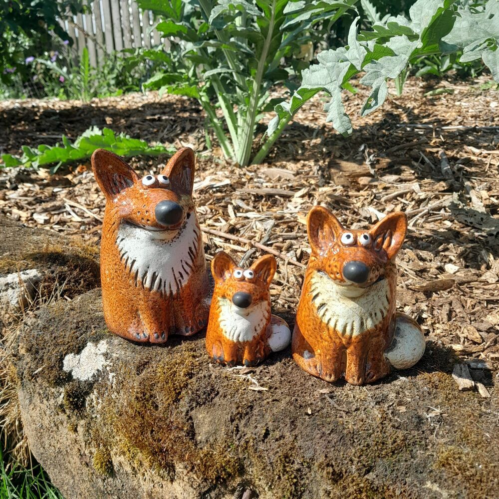 Fox Family
