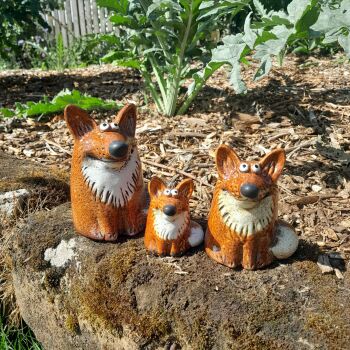 Fox Family