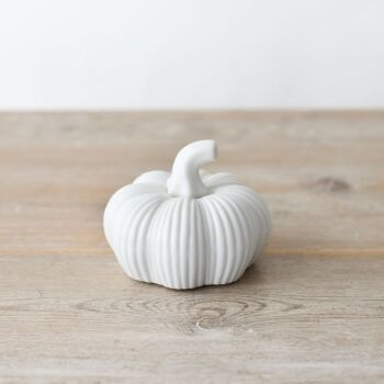 Ribbed Pumpkin