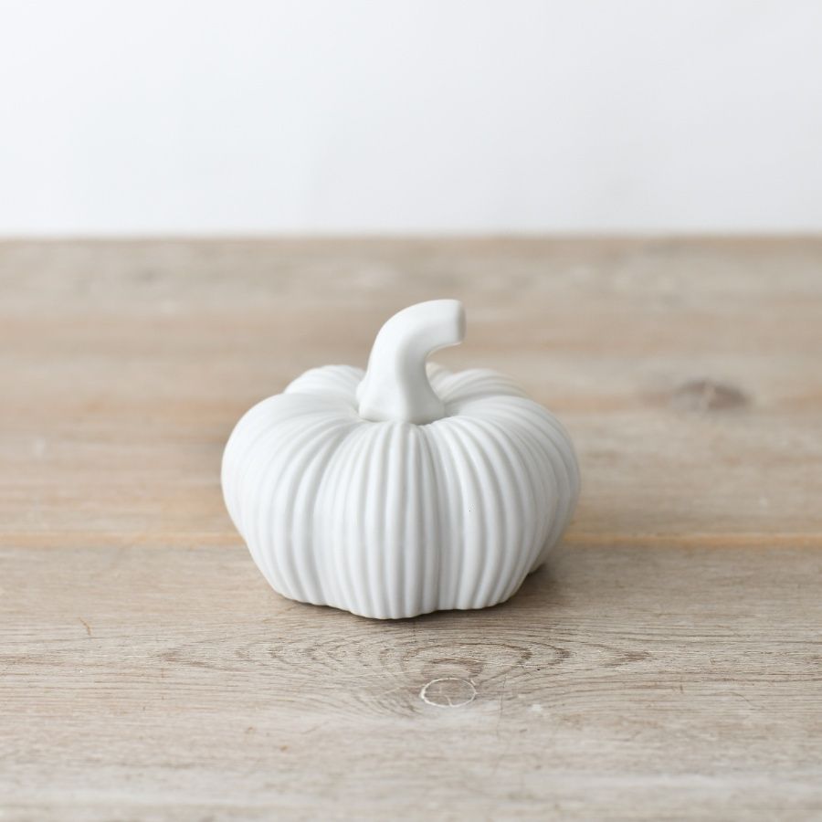 Ribbed Pumpkin