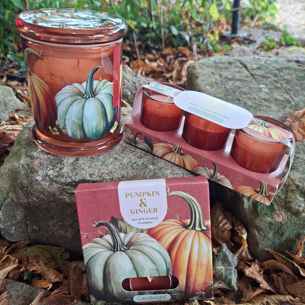 Pumpkin & Ginger Home Fragrances