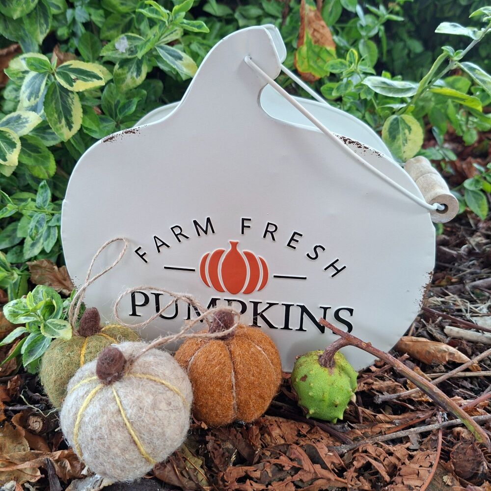 Pumpkin Carrier