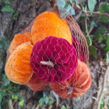 Bag of Velvet Pumpkins