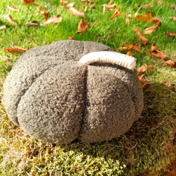 Green Boucle Pumpkin