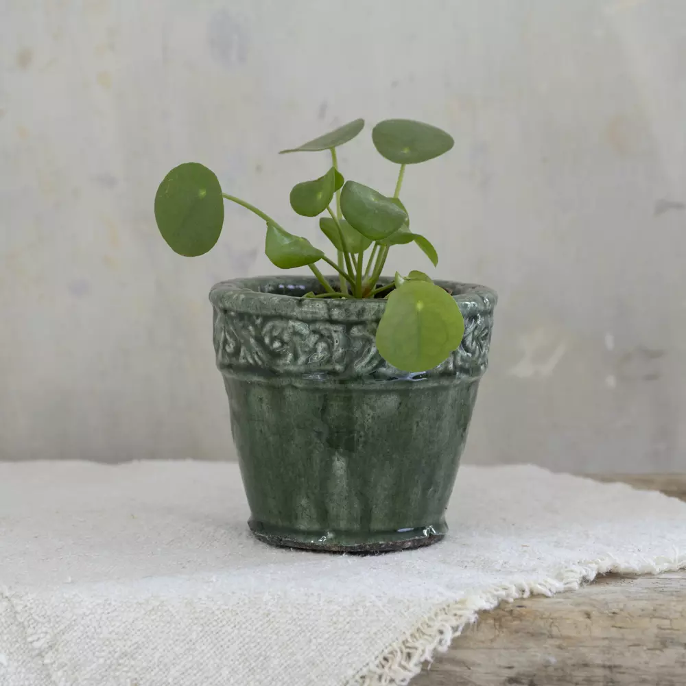 Green Planter