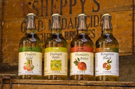 Sheppys Cider Farm