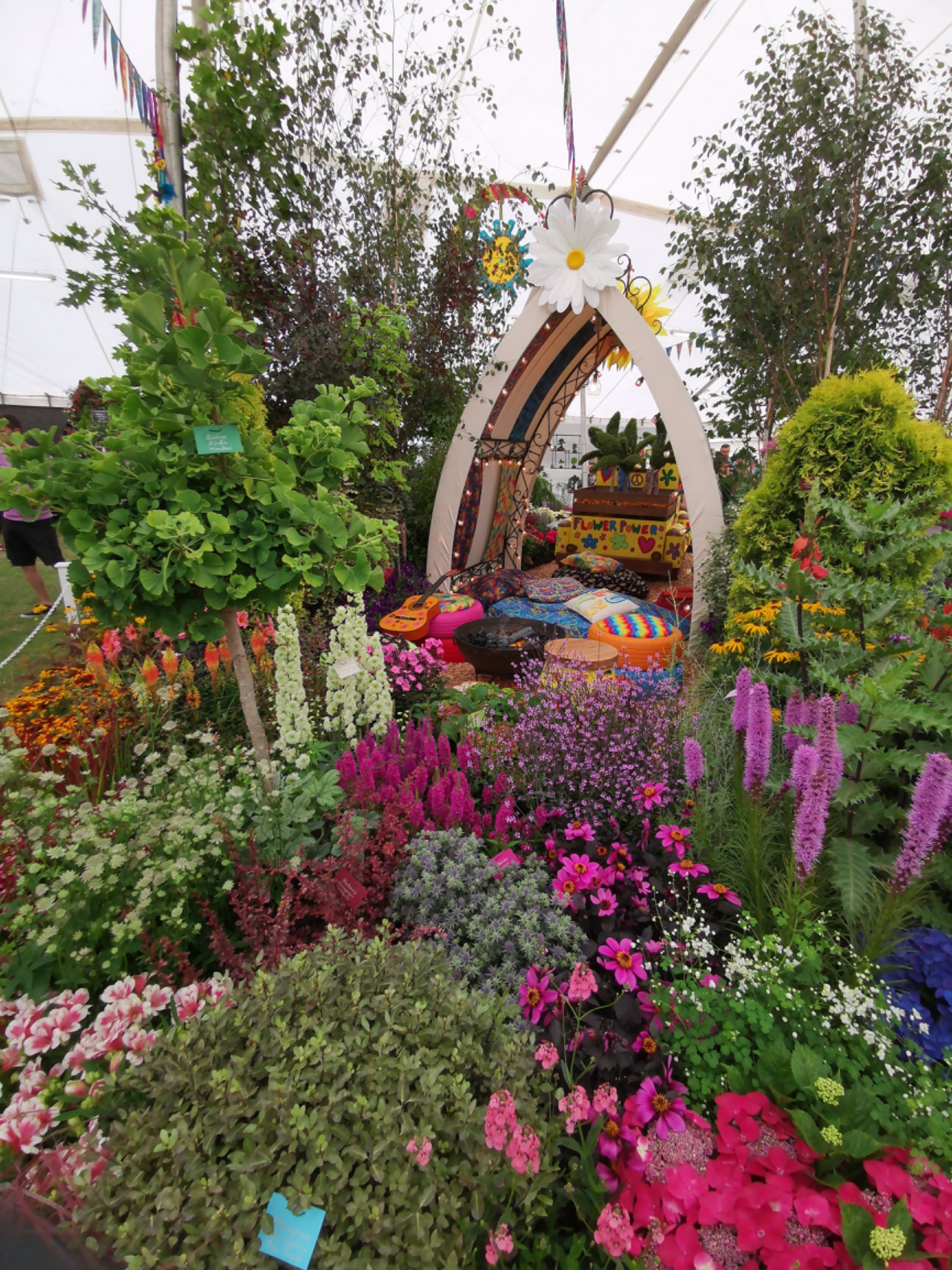 Taunton Flower Show 2021