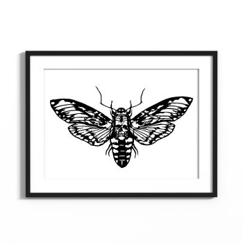 Death's Head Moth Papercut