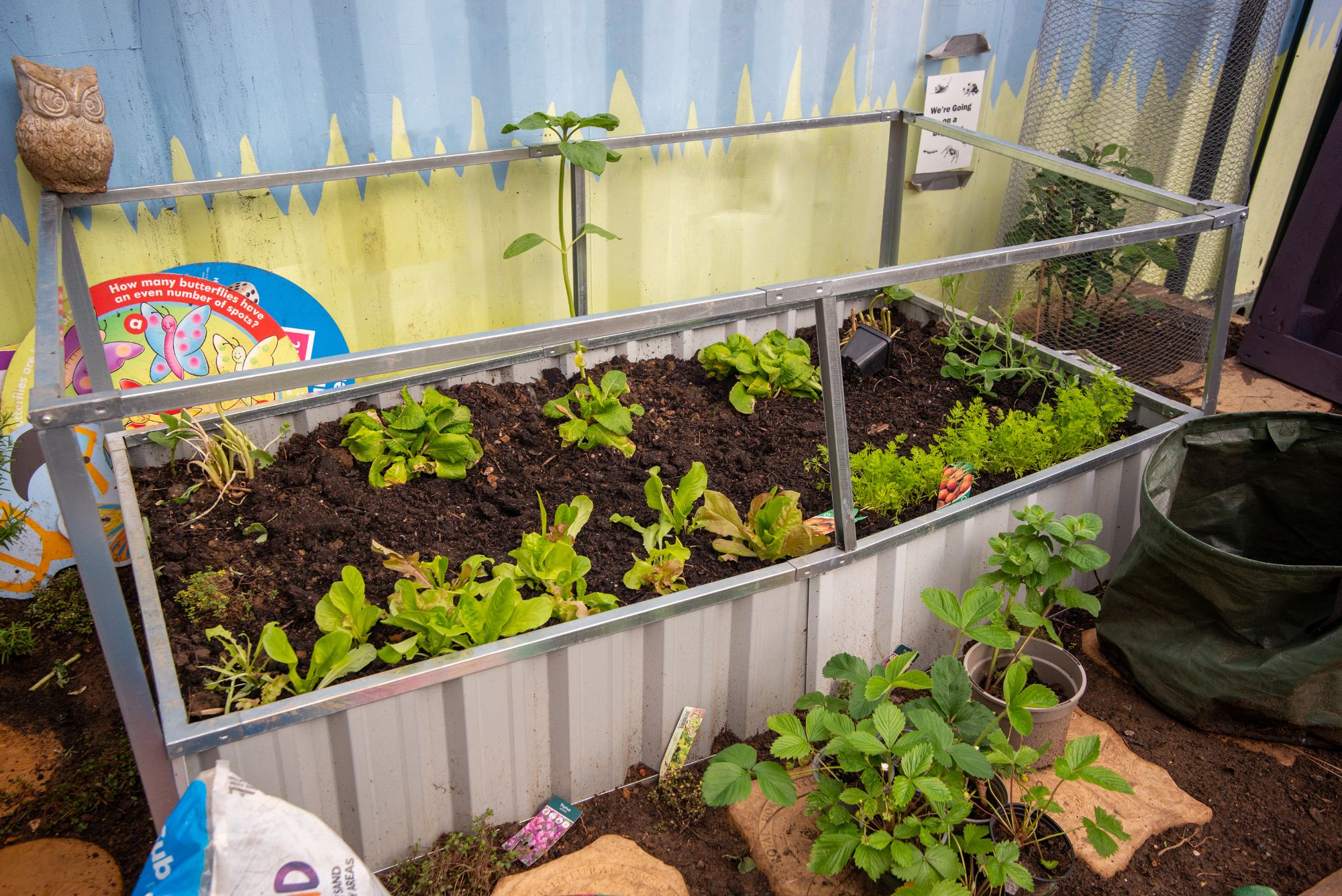 veg patch*