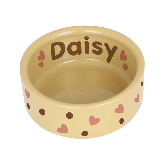 Dog Dotty Medium Brown Dog Bowl