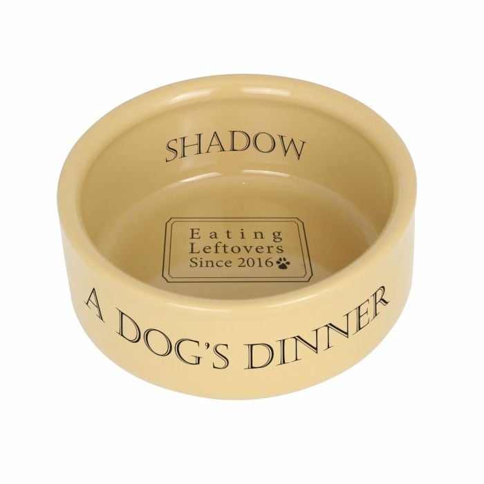 Dog's Dinner Medium Brown Dog / Puppy Bowl