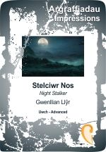 Night Stalker - Stelciwr Nos - Gwenllian Llyr