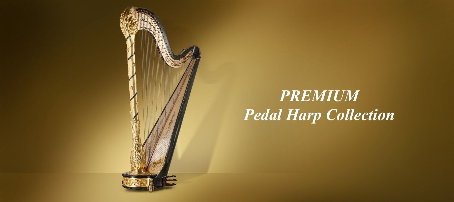 Salvi Harps