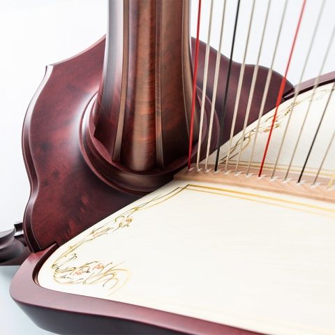 <!-- 010 -->Daphne 47 String Pedal Harp - String Set Options