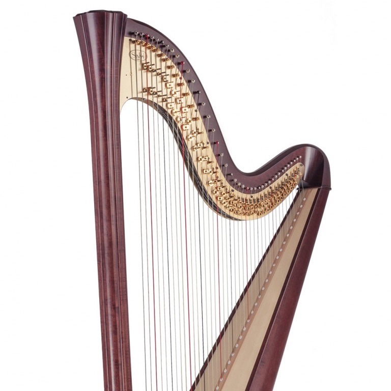 Set Options - Daphne & Rainbow 40 String