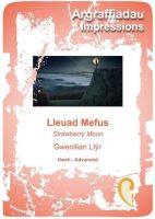 Strawberry Moon - Lleuad Mefus - Gwenllian Llyr