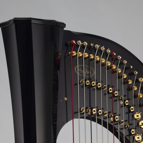 Salvi rainbow harp online