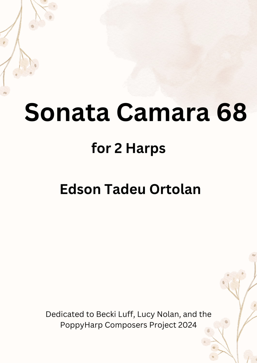 Sonata da Camera - Edson Tadeu Ortolan (Digital Download)