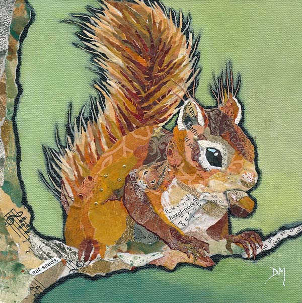 Red Squirrel and Nut - Art Print