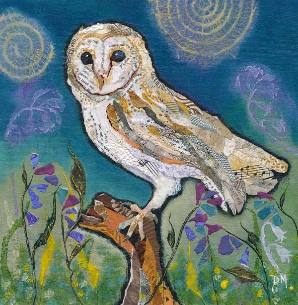 Barn Owl - Medium Print