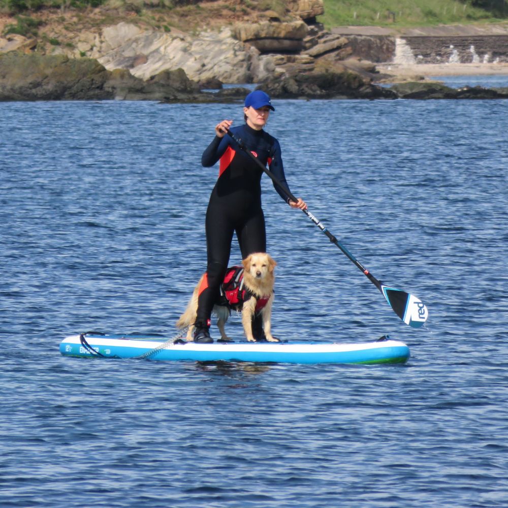 Paddle board