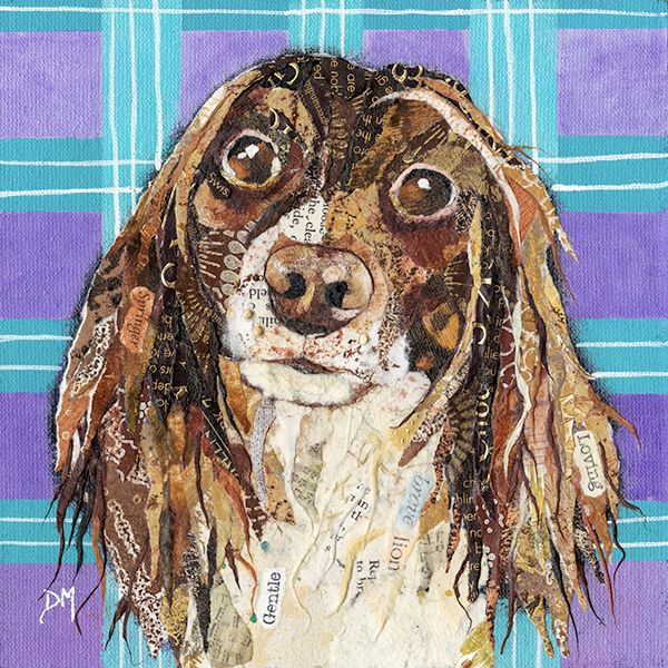 Springer  Spaniel - Dog Wall Art Print 