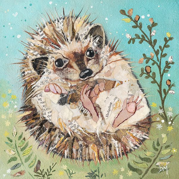 Hedgehog - Art Print