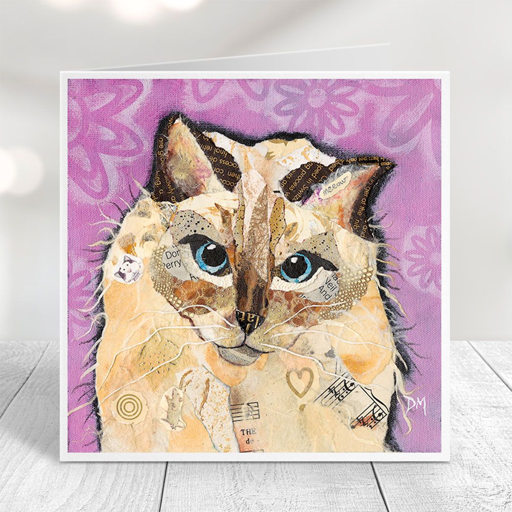 Coco - Ragdoll Cat Card