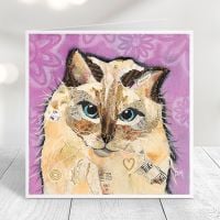 Coco - Ragdoll Cat Card