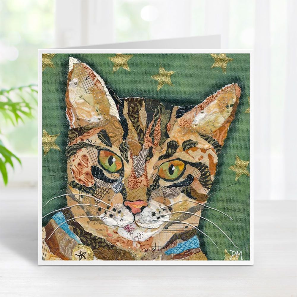 Tabby Star - Cat Card
