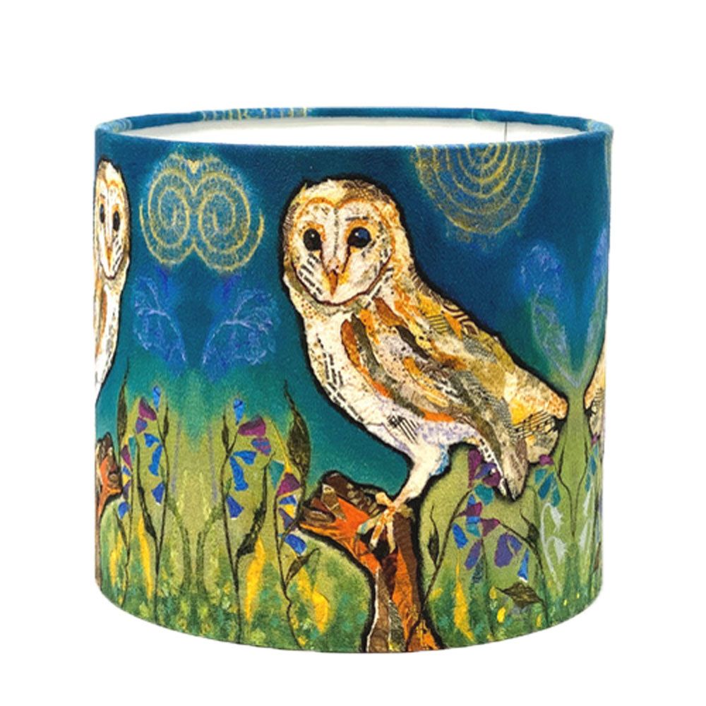 Barn Owl (2)  (SECONDS - small dent) Lamp fitting 20cms