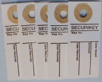 Pack of 100 Securikey Key Tags /& Rings AKKTR100 Red.