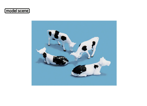 Cows