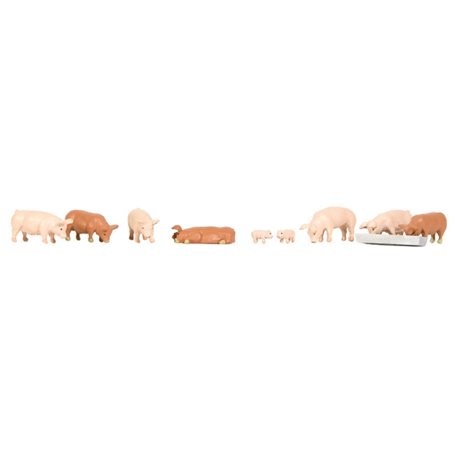 Bachmann Pigs