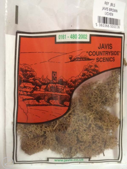Javis Brown Lichen