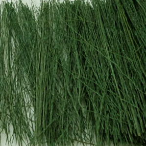 TP Dark Green Field Grass (15g)