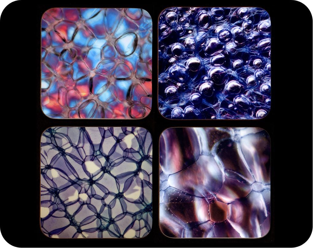 <!-- 00022 -->Four rose stem section microscope photo coasters (CoRose4)