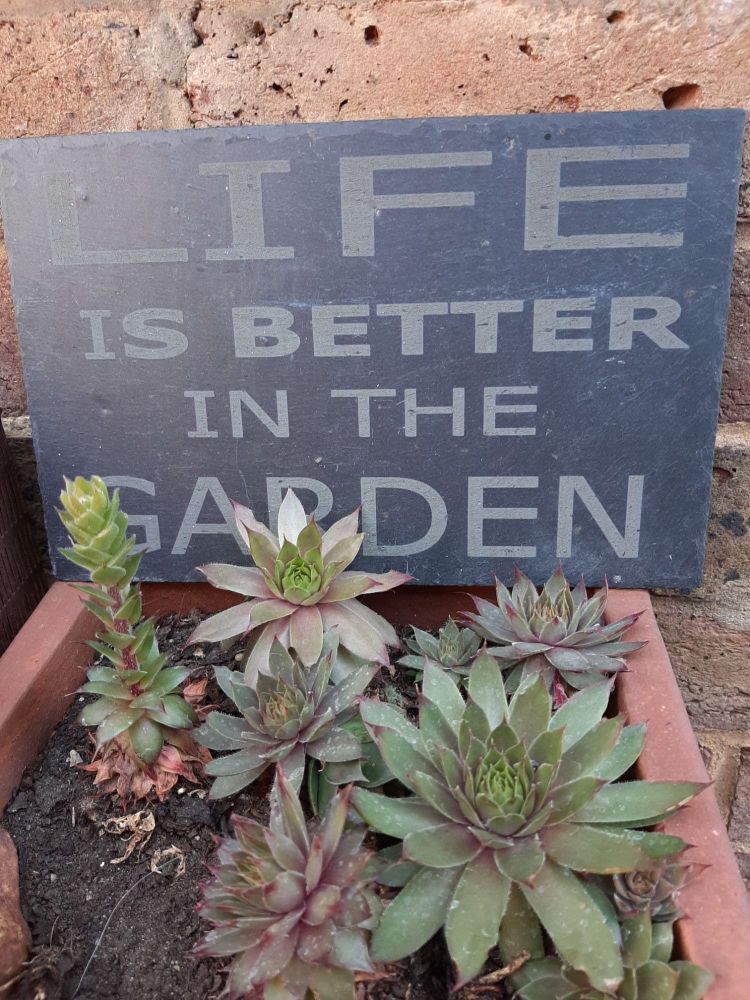 Slate Sign - Life Is Better