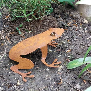 Unique Metal Frog Ornament for your Garden,