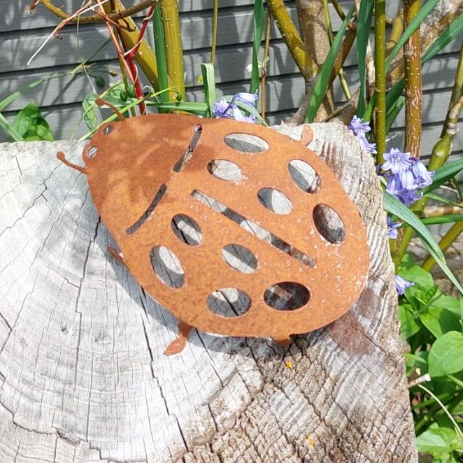 Metal Ladybird Outdoor Garden Decor - Unique Garden Ornaments Accessories