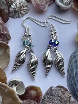 By the Sea! Sea Shell Earrings