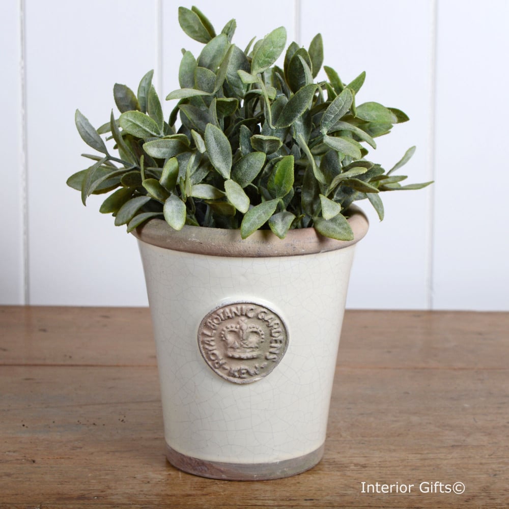 Kew Long Tom Pot in Ivory Cream - Royal Botanic Gardens Plant Pot - Small