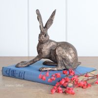 Crouching Hare Frith Bronze Sculpture by Paul Jenkins