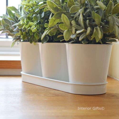 Set of Three Herb Pots on Tray in White