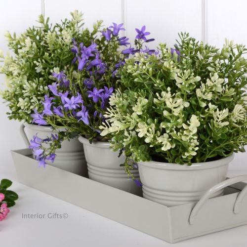 Set of Three Herb Pots on Tray in Neutral Sage