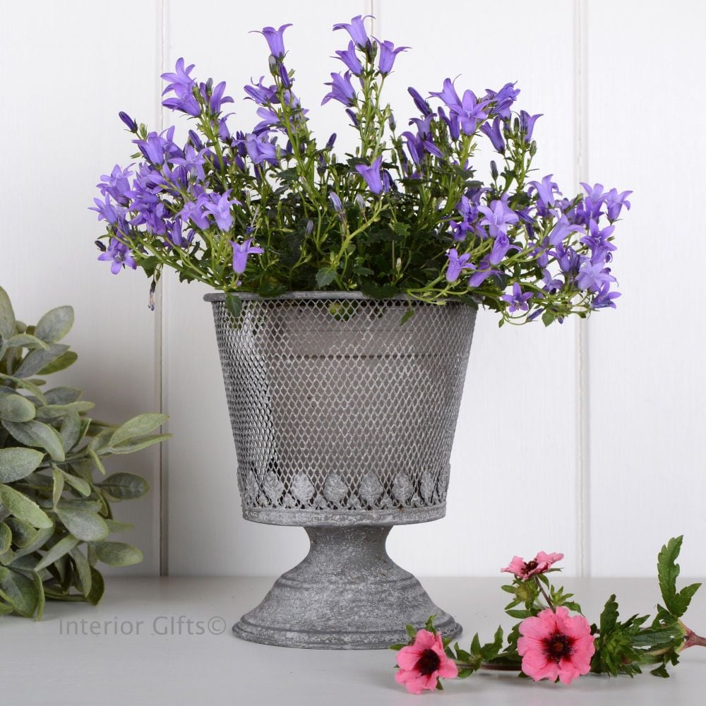 Aged Zinc Mesh Footed Planter