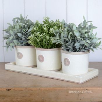 Kew Round Herb Pots & Tray - Set of Three - Royal Botanic Gardens - Ivory Cream